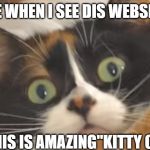 me when i see | ME WHEN I SEE DIS WEBSITE; "THIS IS AMAZING"KITTY CAT | image tagged in me when i see | made w/ Imgflip meme maker