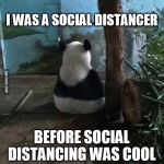 Antisocial Panda | I WAS A SOCIAL DISTANCER; BEFORE SOCIAL DISTANCING WAS COOL | image tagged in antisocial panda | made w/ Imgflip meme maker