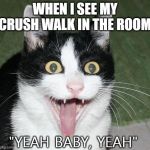 Crush meme | WHEN I SEE MY CRUSH WALK IN THE ROOM; "YEAH BABY, YEAH" | image tagged in excited cat,crush,memes,funny,love,oh yeah | made w/ Imgflip meme maker