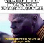 THANOS HARDEST CHOICES | WHEN YOUR AMAZON CART TOTAL IS $420.69. BUT YOU SEE SOME YOU REALLY WANT. | image tagged in thanos hardest choices | made w/ Imgflip meme maker