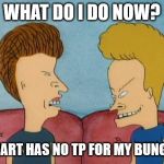 Beavis-and-Butthead | WHAT DO I DO NOW? WALMART HAS NO TP FOR MY BUNGHOLE! | image tagged in beavis-and-butthead | made w/ Imgflip meme maker