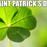 Sait Patrick's day | HAPPY SAINT PATRICK'S DAY TODAY | image tagged in lucky luck clover,saint patrick's day | made w/ Imgflip meme maker