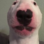 Walter | YOUR JOKE WAS SO FUNNY; THAT I FORGOT TO LAUGH | image tagged in walter | made w/ Imgflip meme maker
