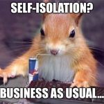 gamer chipmunk | SELF-ISOLATION? BUSINESS AS USUAL... | image tagged in gamer chipmunk | made w/ Imgflip meme maker