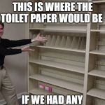Toilet paper | THIS IS WHERE THE TOILET PAPER WOULD BE; IF WE HAD ANY | image tagged in and this is where | made w/ Imgflip meme maker