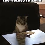 Post-it Note Cat | WAITING FOR MY ZOOM CLASS TO START | image tagged in post-it note cat | made w/ Imgflip meme maker