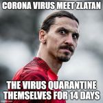 Zlatan Ibrahimovic wtf | CORONA VIRUS MEET ZLATAN; THE VIRUS QUARANTINE THEMSELVES FOR 14 DAYS | image tagged in zlatan ibrahimovic wtf | made w/ Imgflip meme maker