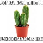 Cactus | DAY 5 OF HAVING NO TOILET PAPER:; THE CACTUS NO LONGER LOOKS LIKE A CACTUS | image tagged in cactus | made w/ Imgflip meme maker