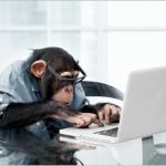 monkey-laptop meme