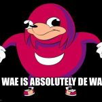 De Wae | DE WAE IS ABSOLUTELY DE WAE! | image tagged in de wae | made w/ Imgflip meme maker