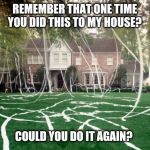 Toilet Paper house | REMEMBER THAT ONE TIME YOU DID THIS TO MY HOUSE? COULD YOU DO IT AGAIN? | image tagged in toilet paper house | made w/ Imgflip meme maker