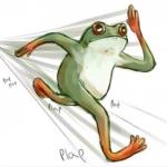 Running Frog meme