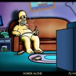 Homer Alone