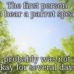 sunshine trees | The first person to hear a parrot speak; probably was not okay for several days. | image tagged in sunshine trees | made w/ Imgflip meme maker