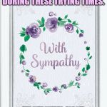 Sympathy Card | DEAR EXTROVERTS, I AM SORRY TO SEE YOU SUFFERING DURING THESE TRYING TIMES. THE INTROVERTS, FORCED INTO A LOUD OVERWHELMING WORLD WHEN THERE ISN'T A PANDEMIC. | image tagged in sympathy card | made w/ Imgflip meme maker