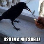 raven smoking | 420 IN A NUTSHELL! | image tagged in raven smoking | made w/ Imgflip meme maker