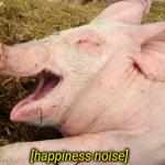 Happiness noise pig