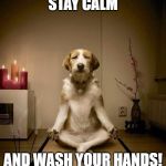 yoga dig | STAY CALM; AND WASH YOUR HANDS! | image tagged in yoga dig | made w/ Imgflip meme maker