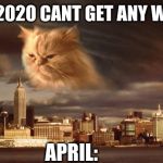 End Of The World Cat | "MAN, 2020 CANT GET ANY WORSE."; APRIL: | image tagged in end of the world cat,end of the world,coronavirus | made w/ Imgflip meme maker
