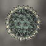Common Flu