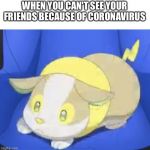 Sad Yamper | WHEN YOU CAN'T SEE YOUR FRIENDS BECAUSE OF CORONAVIRUS | image tagged in sad yamper | made w/ Imgflip meme maker