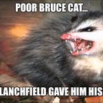 opossum | POOR BRUCE CAT... TRACY BLANCHFIELD GAVE HIM HIS CORONA | image tagged in opossum | made w/ Imgflip meme maker