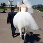 Horse bride