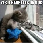 Agent 9 | YES , I HAVE EYES ON DOG | image tagged in cats with guns,cat,funny,fun,spy | made w/ Imgflip meme maker