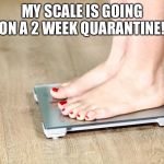 scale | MY SCALE IS GOING ON A 2 WEEK QUARANTINE! | image tagged in scale | made w/ Imgflip meme maker