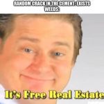 It’s free real estate | RANDOM CRACK IN THE CEMENT: EXISTS
WEEDS: | image tagged in its free real estate | made w/ Imgflip meme maker