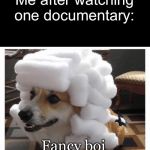 pardon dog | Me after watching one documentary:; Fancy boi | image tagged in pardon dog | made w/ Imgflip meme maker