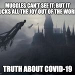 Dementor | MUGGLES CAN'T SEE IT, BUT IT SUCKS ALL THE JOY OUT OF THE WORLD; TRUTH ABOUT COVID-19 | image tagged in dementor | made w/ Imgflip meme maker