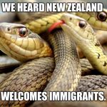 Snakes | WE HEARD NEW ZEALAND; WELCOMES IMMIGRANTS. | image tagged in snakes | made w/ Imgflip meme maker