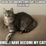 Coronovirus | SOCIAL DISTANCING, CONSTANT CLEANING
ISOLATION; OMG...I HAVE BECOME MY CAT! | image tagged in coronovirus | made w/ Imgflip meme maker