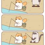 Fish-stealing cat meme