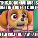 Shocked Skye | THIS CORONAVIRUS IS IS GETTING OUT OF CONTROL; BETTER CALL THE PAW PATROL | image tagged in shocked skye | made w/ Imgflip meme maker
