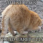big ass | THESE DAYS; TREAD CAREFULLY | image tagged in big ass | made w/ Imgflip meme maker