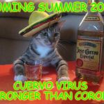 Cat Jose Cuervo | COMING SUMMER 2020; CUERVO VIRUS 
STRONGER THAN CORONA | image tagged in cat jose cuervo | made w/ Imgflip meme maker