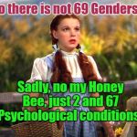69 Genders | So there is not 69 Genders? Sadly, no my Honey Bee, just 2 and 67 Psychological conditions! YARRA MAN | image tagged in 69 genders | made w/ Imgflip meme maker