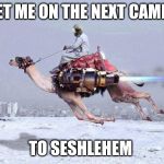 Its friday | GET ME ON THE NEXT CAMEL; TO SESHLEHEM | image tagged in camel,memes,seshlehem | made w/ Imgflip meme maker