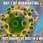 Coronavirus | DAY 7 OF QUARANTINE:; THERE ARE 7891 GRAINS OF RICE IN A MEDIUM BAG | image tagged in coronavirus | made w/ Imgflip meme maker