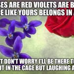 Roses are many colors other than red, violets are fricken violet | ROSES ARE RED VIOLETS ARE BLUE, A FACE LIKE YOURS BELONGS IN A ZOO; BUT DON'T WORRY I'LL BE THERE TOO, BUT NOT IN THE CAGE BUT LAUGHING AT YOU! | image tagged in roses are many colors other than red violets are fricken violet | made w/ Imgflip meme maker