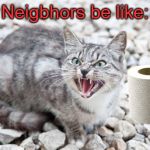 Hissing Cat | Neigbhors be like: | image tagged in hissing cat,memes,coronavirus,toilet paper | made w/ Imgflip meme maker