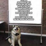 Dog White Board | If u have coronavirus don’t travel and see your doctor if you are coughing have a fever or shortness of breath and stay in self isolation to protect those around u and not spread the disease | image tagged in dog white board | made w/ Imgflip meme maker