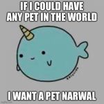 narwal | IF I COULD HAVE ANY PET IN THE WORLD; I WANT A PET NARWAL | image tagged in narwal | made w/ Imgflip meme maker