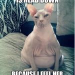 Heavily pregnant cat | I KNOW BABY IS HEAD DOWN; BECAUSE I FEEL HER HICCUPS IN MY BUTTHOLE | image tagged in heavily pregnant cat | made w/ Imgflip meme maker