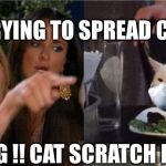 Woman Yelling at Cat with Medical Mask | YOUR TRYING TO SPREAD CORONA; WRONG !! CAT SCRATCH FEVER | image tagged in woman yelling at cat with medical mask | made w/ Imgflip meme maker