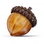 Acorn 1