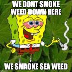 Weed | WE DONT SMOKE WEED DOWN HERE WE SMAOKE SEA WEED | image tagged in weed | made w/ Imgflip meme maker