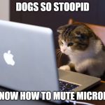 Cat on Computer | DOGS SO STOOPID; NOT KNOW HOW TO MUTE MICROPHONE | image tagged in cat on computer | made w/ Imgflip meme maker
